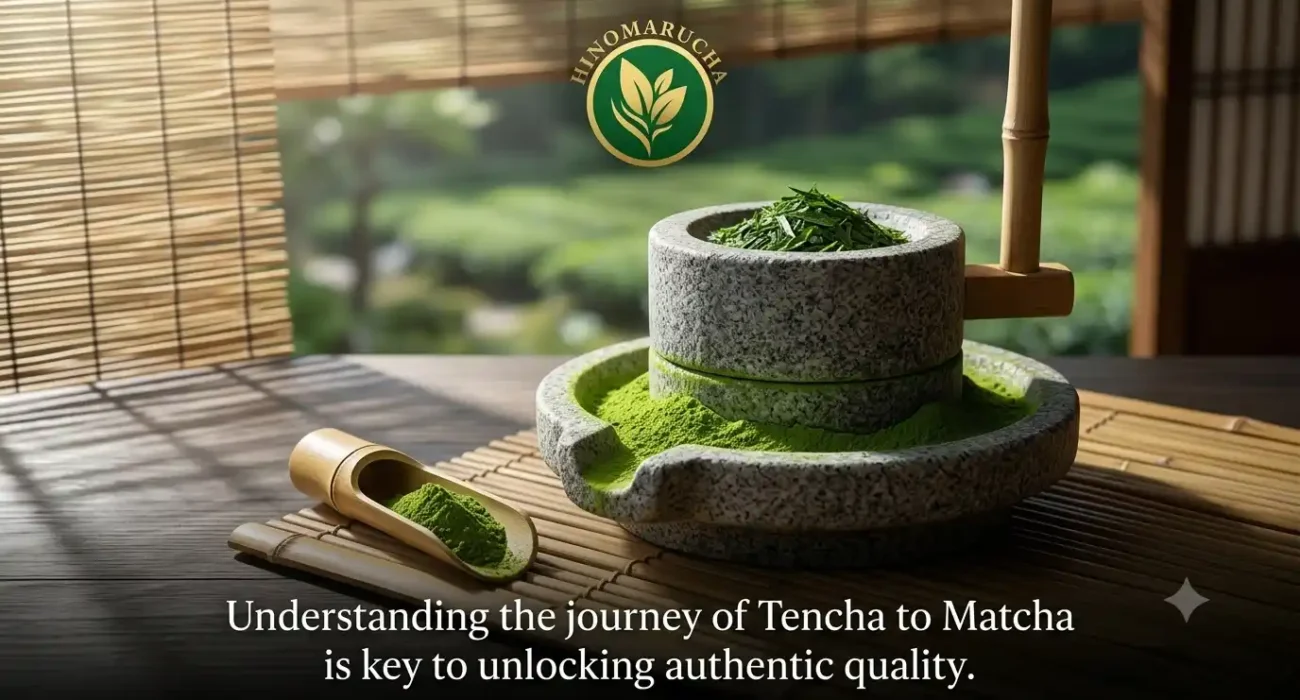 Tencha-Leaves-to-Powder-for-Matcha-The-Full-Guide